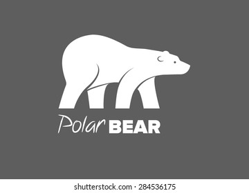 Bear, polar bear