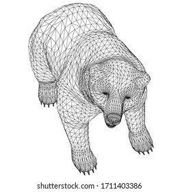 Bear polygonal lines illustration. Abstract vector bear on the white background