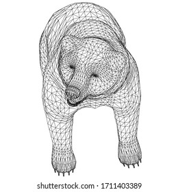 Bear polygonal lines illustration. Abstract vector bear on the white background