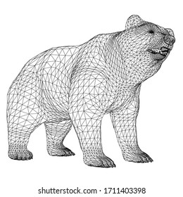 Bear polygonal lines illustration. Abstract vector bear on the white background