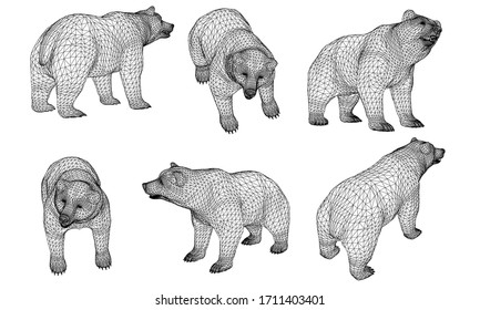 Bear polygonal lines illustration. Abstract vector bear on the white background