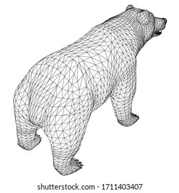 Bear polygonal lines illustration. Abstract vector bear on the white background
