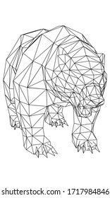 Bear polygonal lines illustration. Abstract vector bear on the white background
