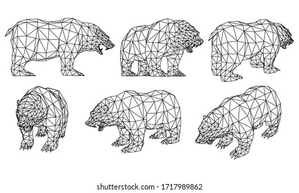 Bear polygonal lines illustration. Abstract vector bear on the white background