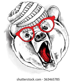 Bear portrait in a knitted hat and with glasses. Vector illustration.