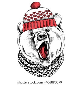 Bear portrait in the knitted hat and scarf. Vector illustration.