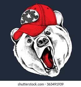 Bear Portrait In A Red Cap. Vector Illustration.