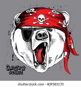 Bear portrait in a red pirate's bandana. Vector illustration.