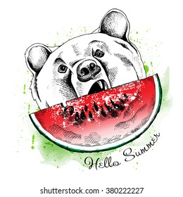 Bear portrait with a watermelon. Vector illustration.