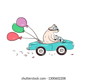 Bear quickly rides on a blue car, delivering someone as a gift balloons.