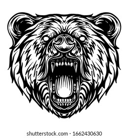 Bear rawr illustration black and white.