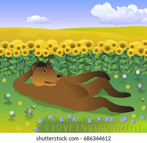 Bear resting on the clearing. Vector cartoon illustration with bear on the grass, field of sunflowers and blue sky with clouds. World Environment Day