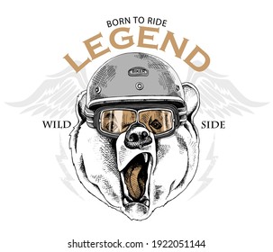 Bear in a retro bikers helmet, glasses and with a wings. Creative poster, t-shirt composition, hand drawn style print. Vector illustration.