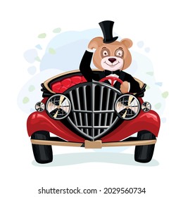 Bear in retro clothes and a retro car. Bear is a gentleman. Fashion and the car of the 19th century. Vector illustration in cartoon style.