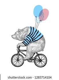 Bear Ride Bicycle Balloon Vector Illustration. Vintage Mascot Cute Grizzly Cycle Bike Isolated on White. Happy Birthday Animal Character Black Sketch. Flat Outline Teddy Grunge Draw?