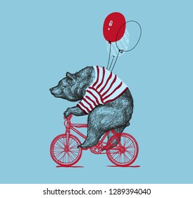 Bear Ride Bike Balloon Vector Grunge Print. Hipster Mascot Cute Wild Grizzly In Striped Vest On Bycicle Isolated. Blackwork Tattoo Animal Character Outline Sketch. Teddy Design Flat Illustration