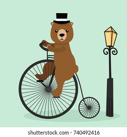 bear riding a bicycle