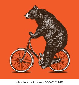 Bear Riding Bike Vector Illustration