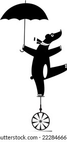 Bear riding on the unicycle. 
Funny bear with umbrella balances on the unicycle. Black and white
