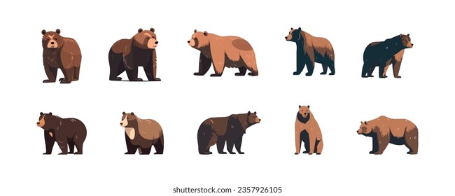 Bear set flat cartoon isolated on white background. Vector isolated illustration