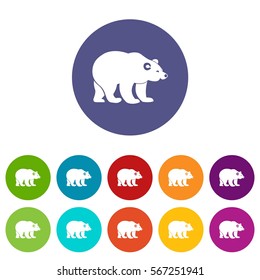 Bear set icons in different colors isolated on white background