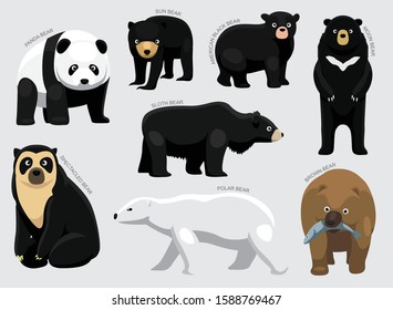 Bear Set Various Kind Identify Cartoon Vector