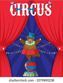 Bear Show Behind Circus Curtain illustration