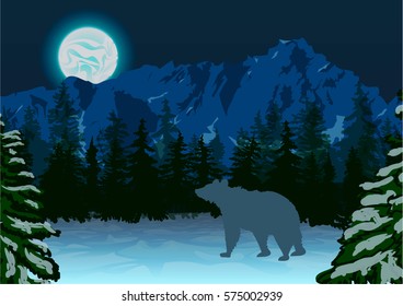 Bear in Siberian woods at night. Bright moon is shining beneath the mountains, pine trees covered by snow.