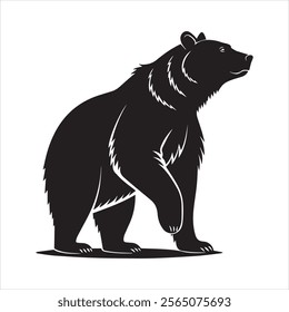 Bear silhouette bold and line vector illustrations eps 10 on a white background fully editable high-quality file.