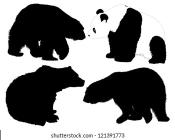 Bear Silhouette on white background