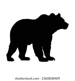 A Bear Silhouette on White Background