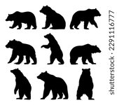 Bear silhouette set - isolated vector images of wild animals