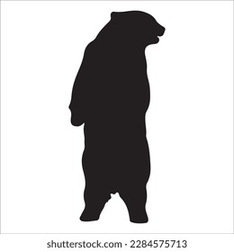 Bear silhouette, Similar images, vector illustration, Black silhouette of a bear on a white background looking forward from the side.