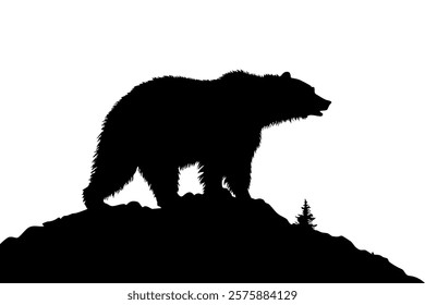 Bear Silhouette Standing on a Hill Against a White Background