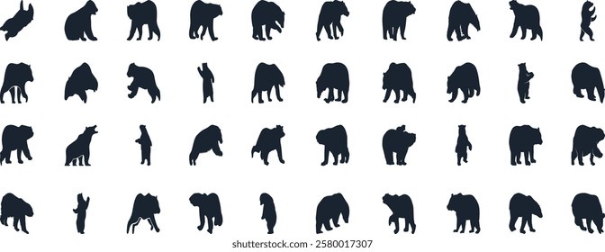 Bear silhouette, various poses of bear, standing, walking, sitting, wildlife, nature, animal, black, outline, wild, mammal, grizzly bear collection