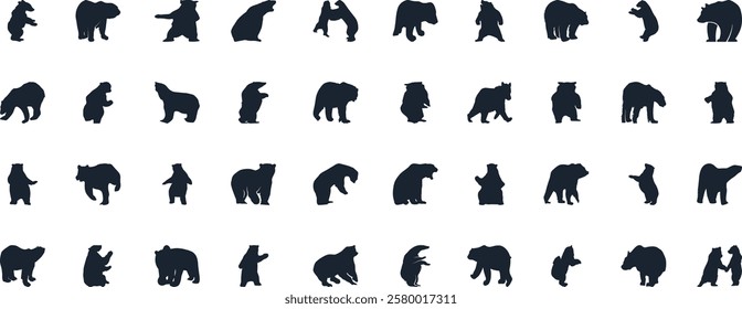 Bear silhouette, various poses of bear, standing, walking, sitting, wildlife, nature, animal, black, outline, wild, mammal, grizzly bear collection