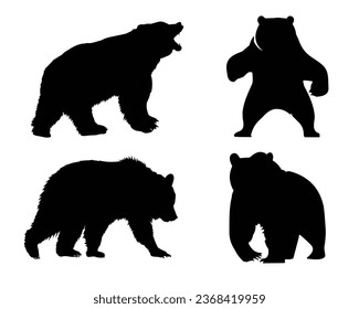 Vector de silueta de oso. Ilustración del vector del oso. Obsérvate.