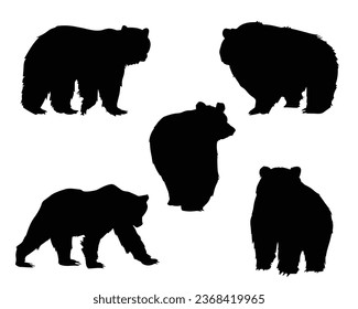 Vector de silueta de oso. Ilustración del vector del oso. Obsérvate.