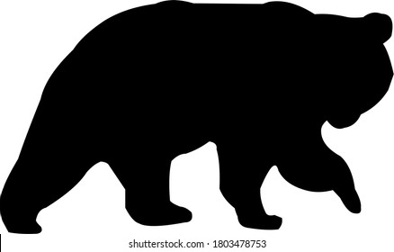 Bear silhouette. Vector illustration of isolated on white background for print and poster. Typographic design.