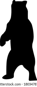 Bear silhouette. Vector illustration of isolated on white background for print and poster. Typographic design.