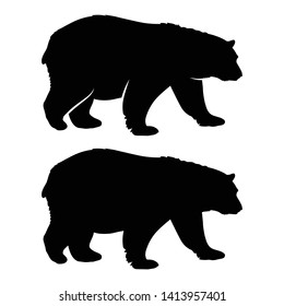 Bear silhouette. Vector illustration for your design