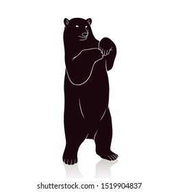 bear silhouette vector isolated on white backround