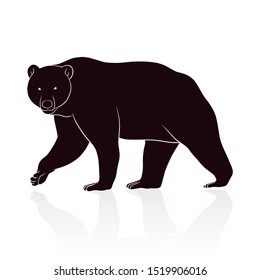 bear silhouette vector isolated on white backround