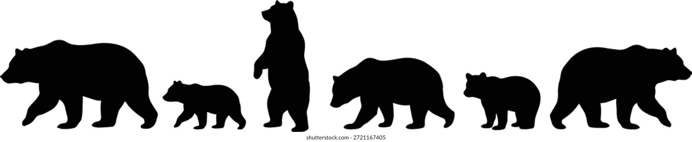 Bear silhouette vector set in black, showing family dynamics and postures for wildlife design, education, and nature illustration