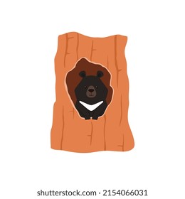 Bear is sitting in a hollow tree, vector flat illustration on a white background. A house for a bear in a tree trunk, a hole. Bear in the hollow