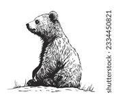 the bear is sitting in pencil doodle style