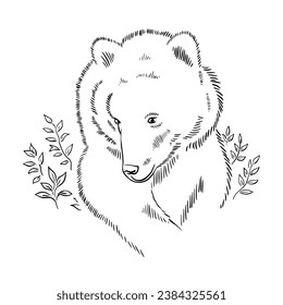 Bear sketch. Forest predator. Symbol and sign. Animal in the wild. Vector black and white illustration. Hand drawn ink line