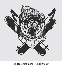 Bear skier. Snowboard. Ski resort emblem, print design