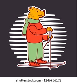 Bear skiing in warm winter clothes. Sweater scarf ski boots patki. on a dark background. Vector illustration.