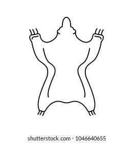 Bear skin icon. Outline bear skin vector icon for web design isolated on white background
